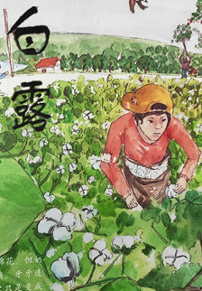 这就是二十四节气·白露