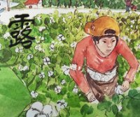 这就是二十四节气·白露