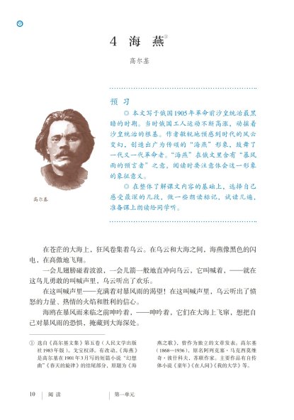 九年级语文下册-阅读 4 海燕(P10-P14)