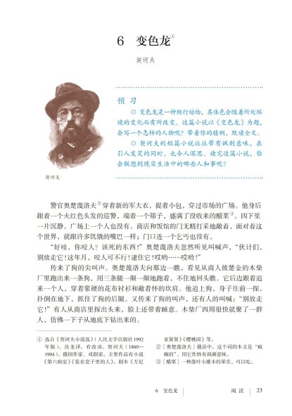 九年级语文下册-阅读 6 变色龙(P23-P27)