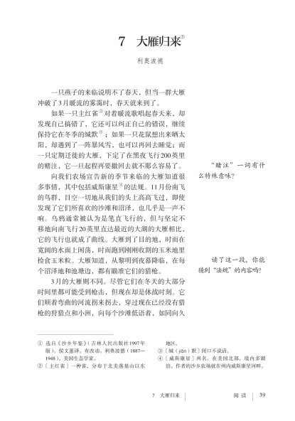 八年级语文下册-阅读 7 大雁归来(P39-P42 )