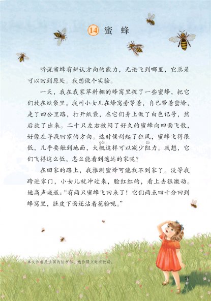 三年级语文下册-14 蜜蜂(P51-P53)