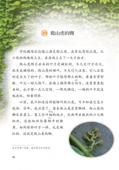 四年级语文上册-10 爬山虎的脚(P36-P38)