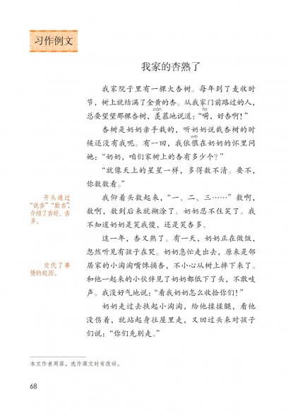 四年级语文上册-习作例文-我家的杏熟了(P68-P69)
