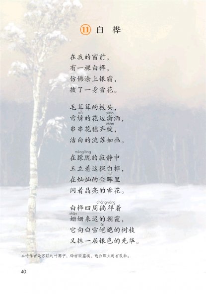 四年级语文下册-11 白桦(P40-P41)