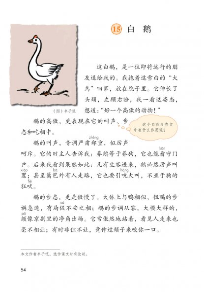四年级语文下册-15 白鹅(P54-P58)
