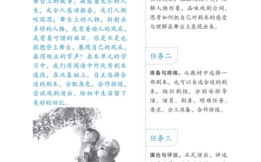 九年级语文下册-活动探究 活动任务单(P96)