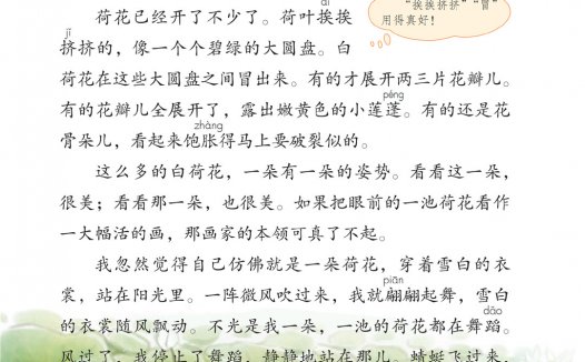 三年级语文下册-3 荷花(P6-P7)