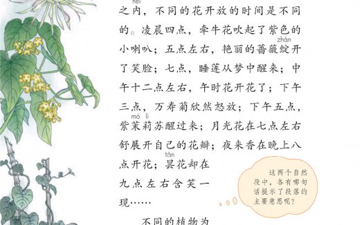 三年级语文下册-13 花钟(P48-P50)