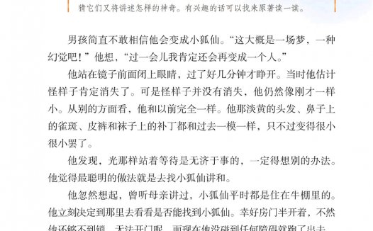 六年级语文下册-课文6 骑鹅旅行记(节选) (P25-P30)