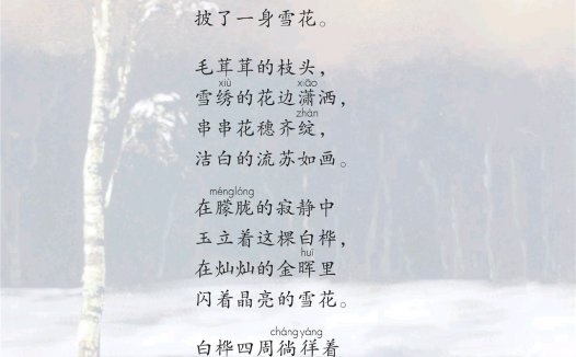 四年级语文下册-11 白桦(P40-P41)