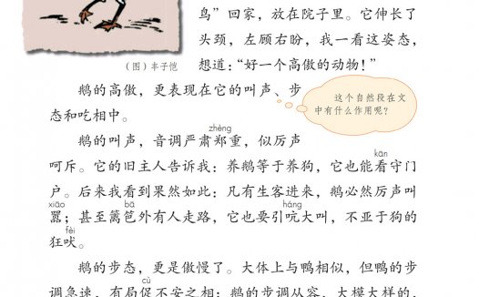 四年级语文下册-15 白鹅(P54-P58)