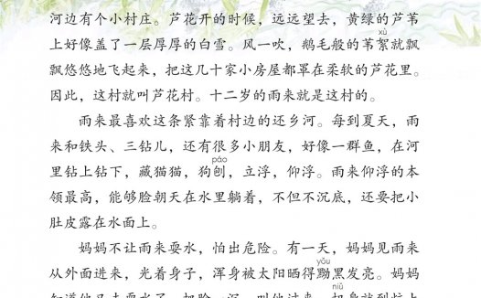 四年级语文下册-18 小英雄雨来(节选)(P76-P84)
